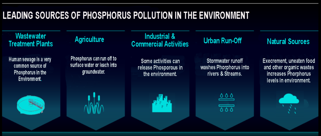 Sources of Phosphorus for recovery from wastewater.