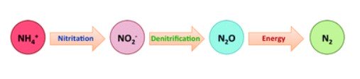 Coftec dicusses Nitrogen removal and recovery from wastewater in blog post